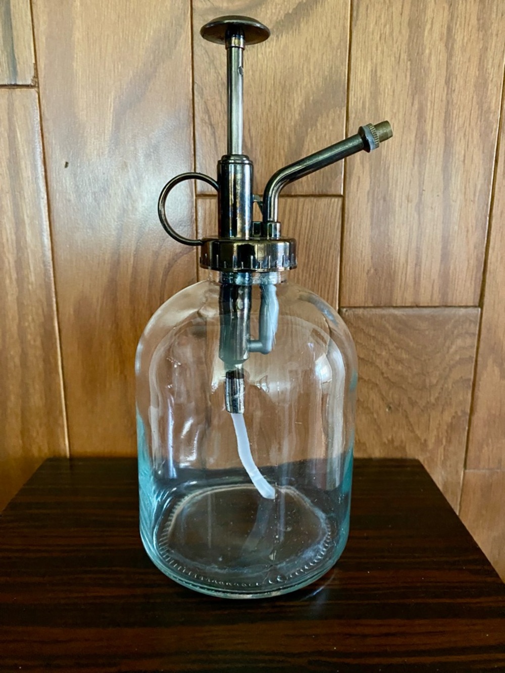 Glass Plant Mister with Metal Pump - Clear & Brass-Tone